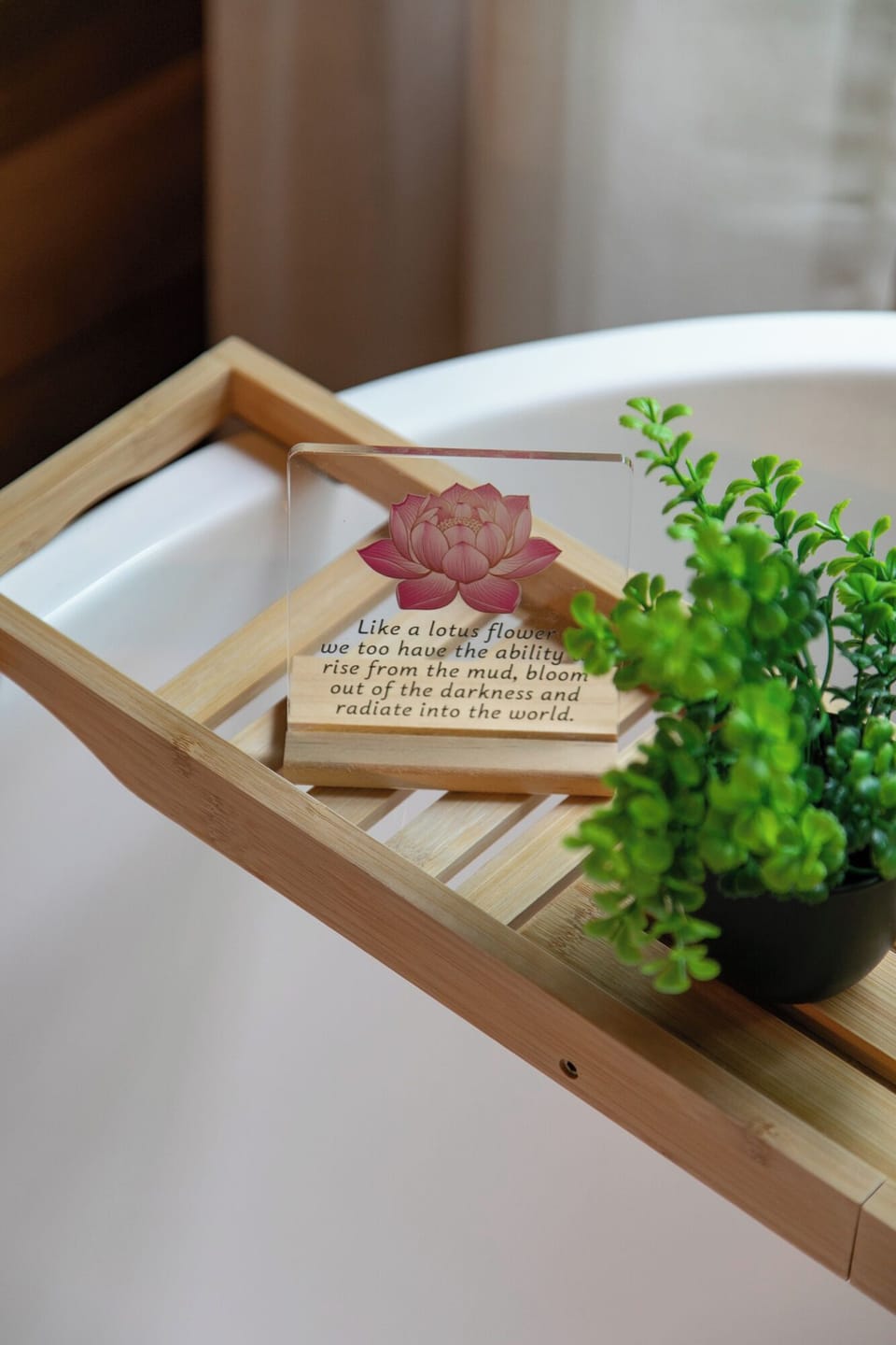 Relax in the Spa-type Bathroom in the main master room, double sink, shower 