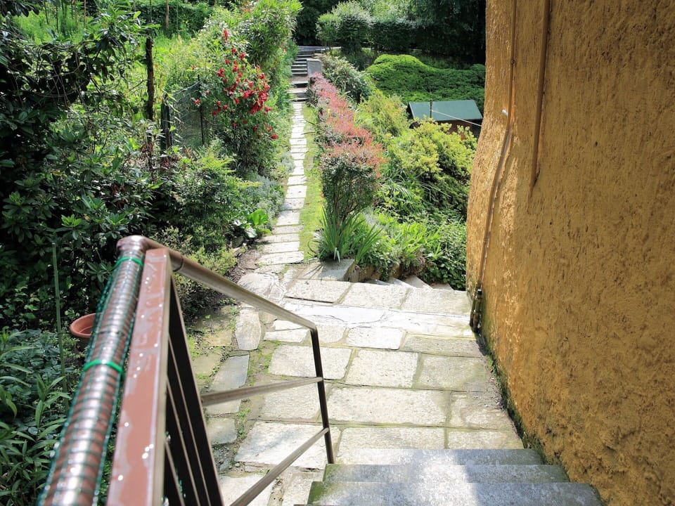 Botany, Walkway, Tree, Line, Garden, Plant, Architecture, Thoroughfare, Landscape, Nonbuilding Structure