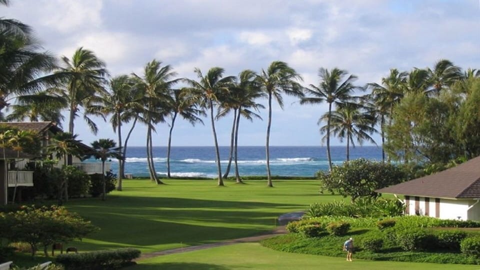 Huge grassy lawns throughout resort (not the view from condo)