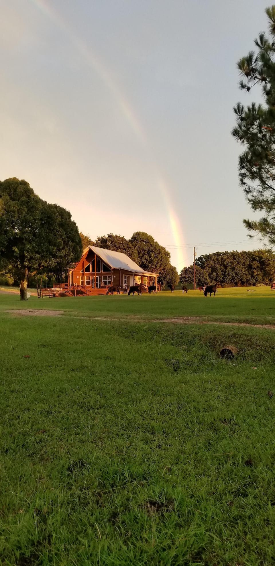 Amazing rainbow! (Don’t worry, cows are not loose during guest stay).