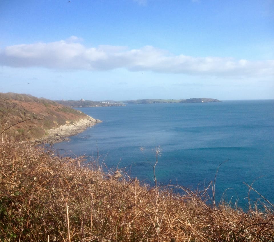 View from the lovely coastal path walk to Falmouth from Maenporth- about 1 hr!