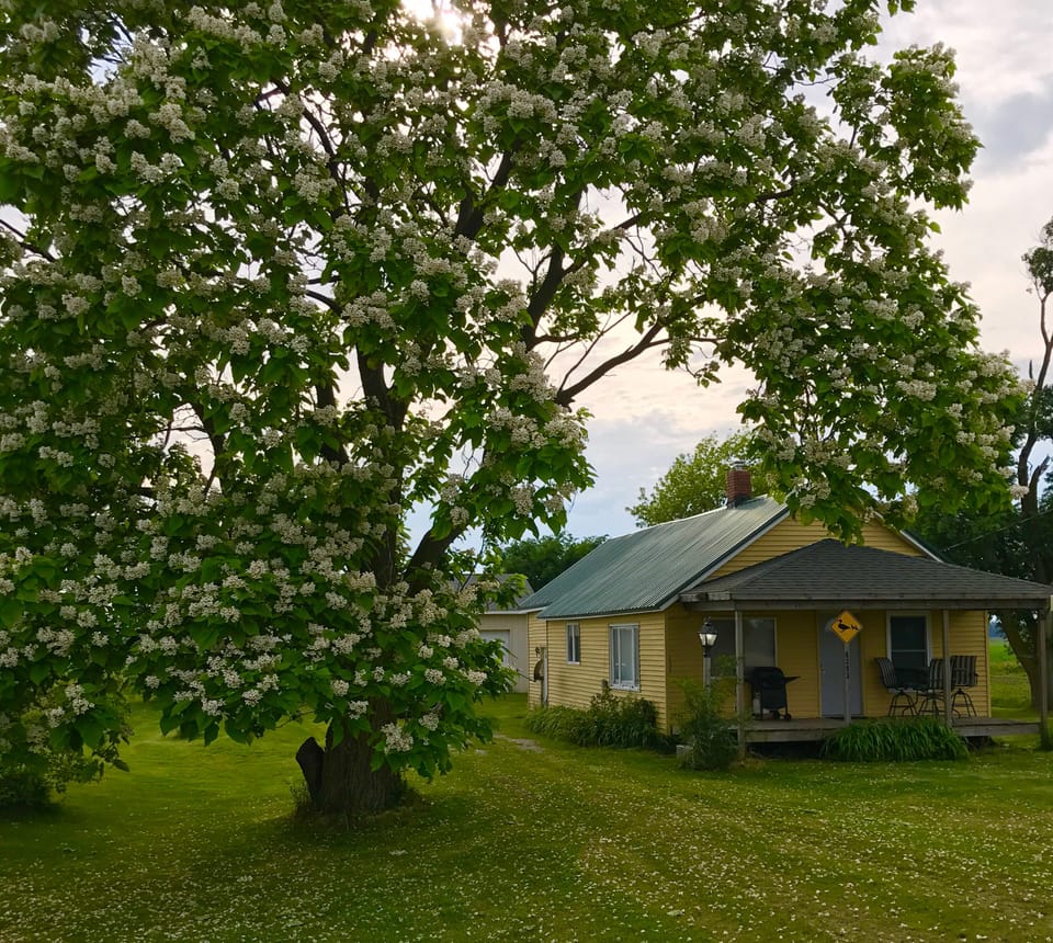 Gas grill, patio table,chairs & brand new porch swing outside on the front porch