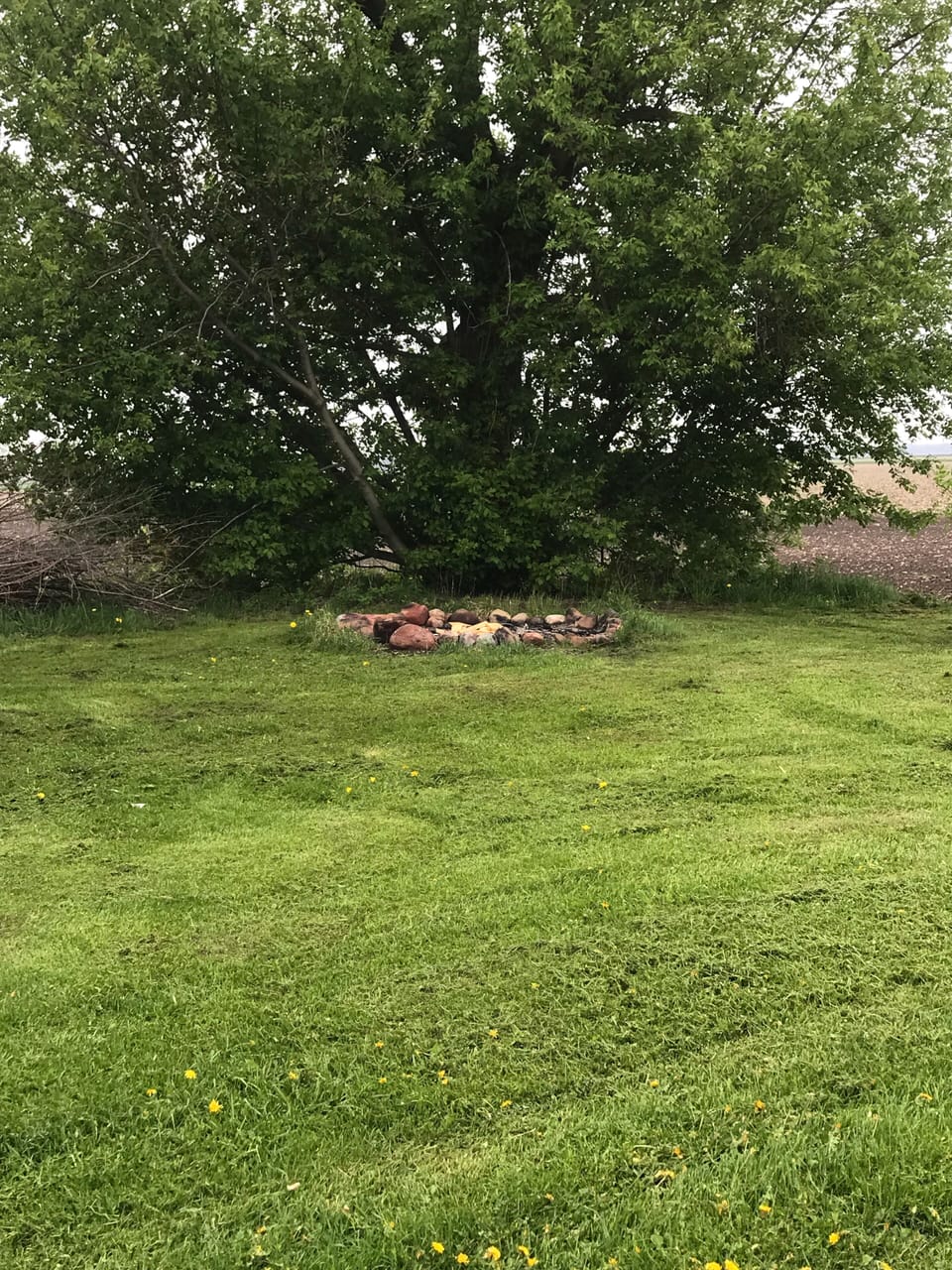 Fire pit for bonfires and s’mores.