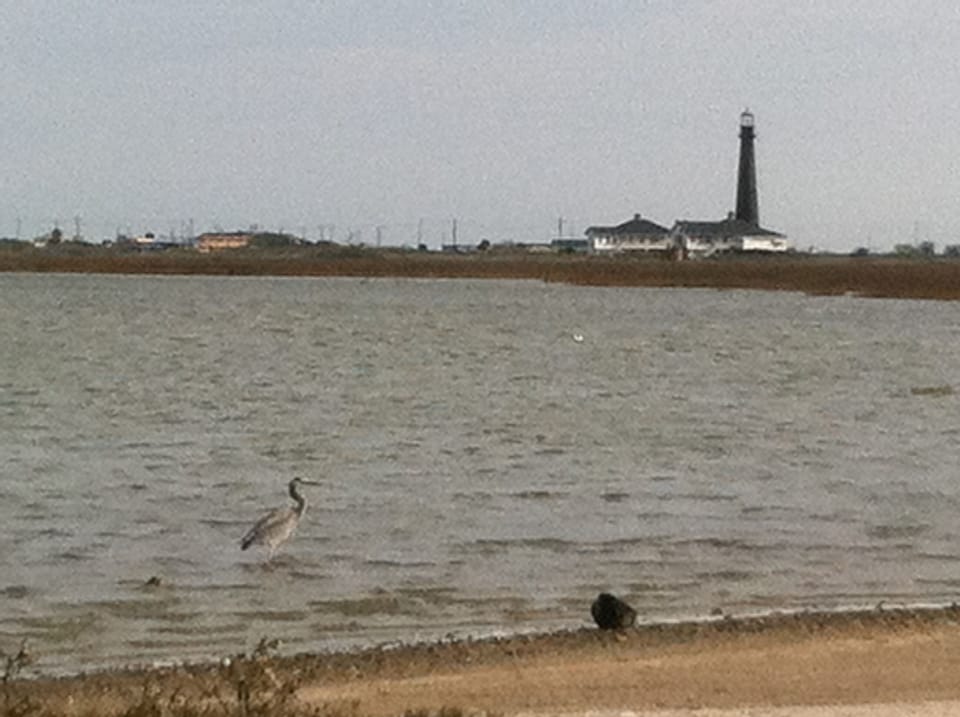 the view of the lighthouse from the beach nearby