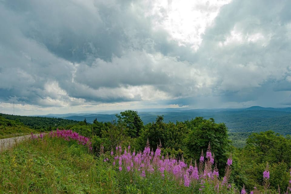 View from Spruce Knob, the highest point in WV, just up the road from our cabins. spruce knob cabins