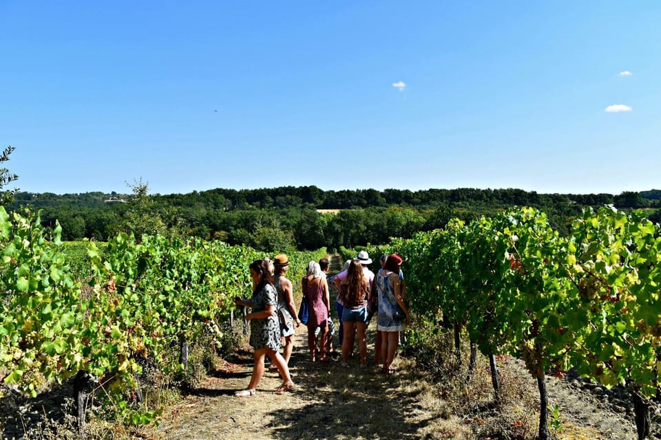Wine tasting at Château Lestevenie