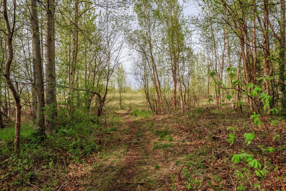 Greenbelt