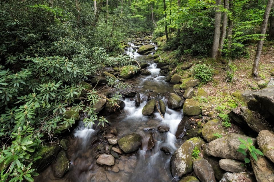 Huffman Creek Retreat - Creekside-1