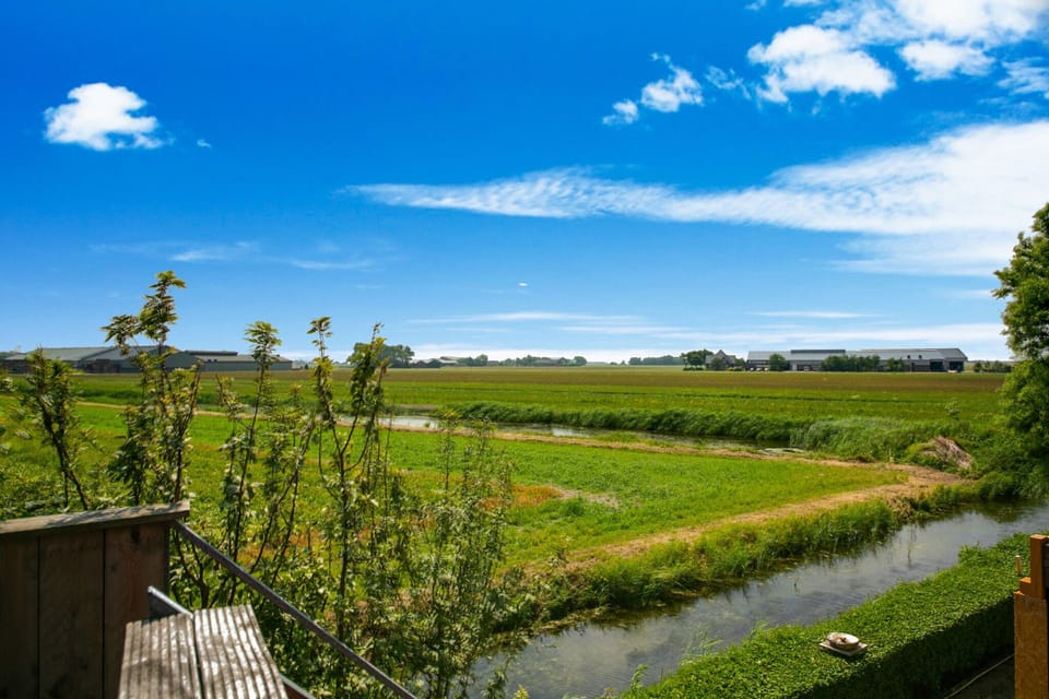 View from Holiday Home [summer]