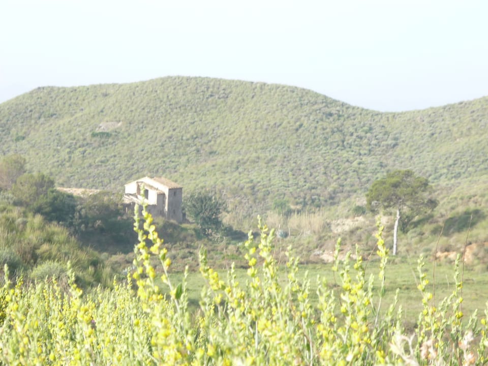 Plenty of nature within walking distance.
Take a nature walk in the house.