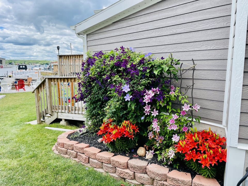 Seasonal flowers