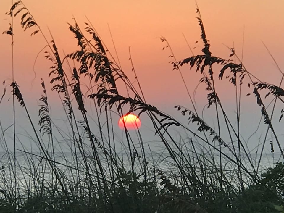 Sunsets and sea oats from in front of your condo.