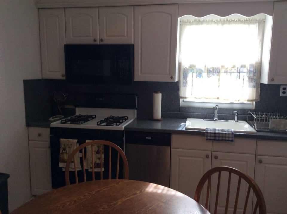 Sink and below the counter cabinet