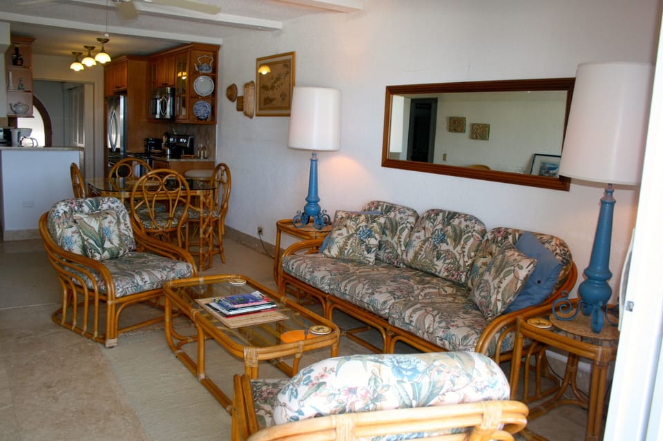Living room, lots of light