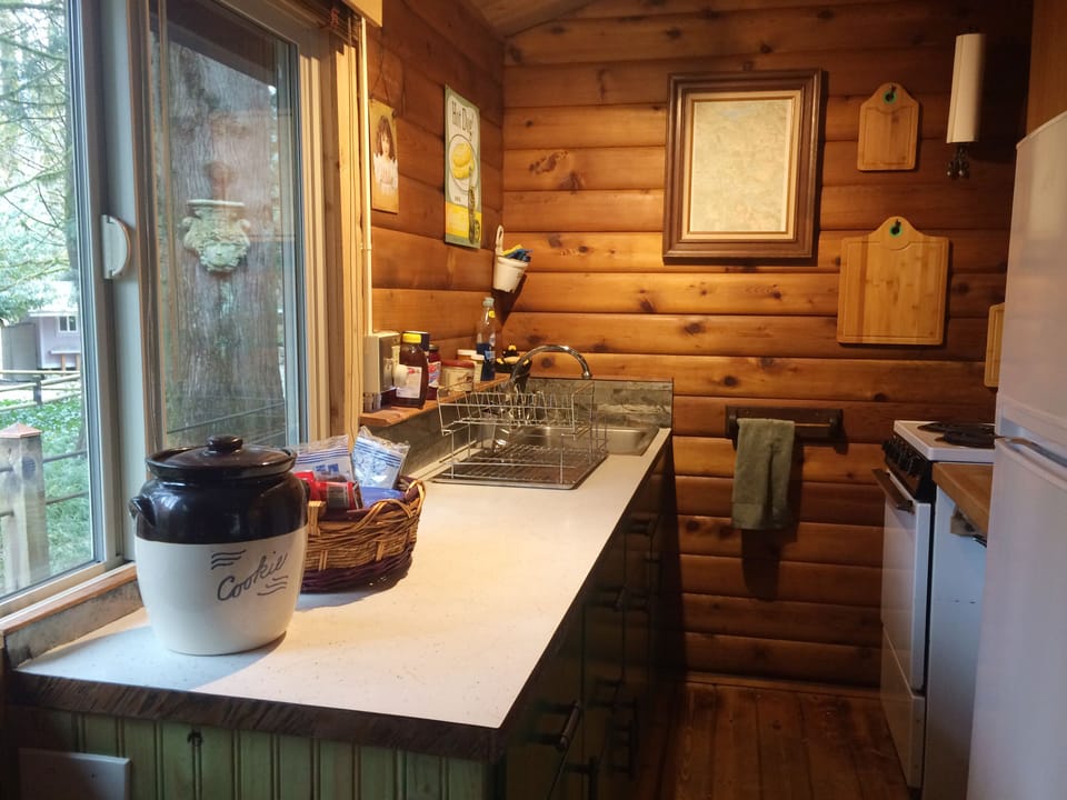 Kitchen - small but functional !