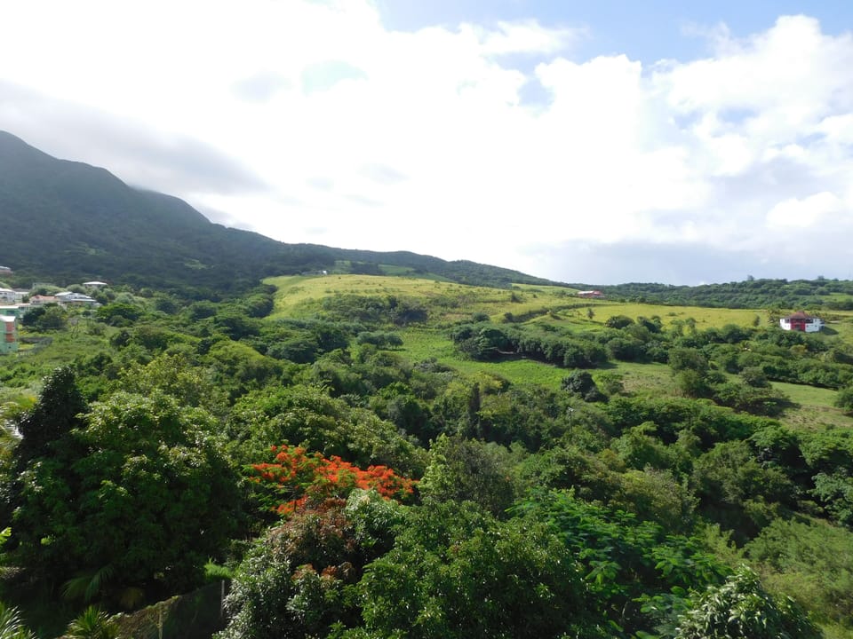 View of the valley