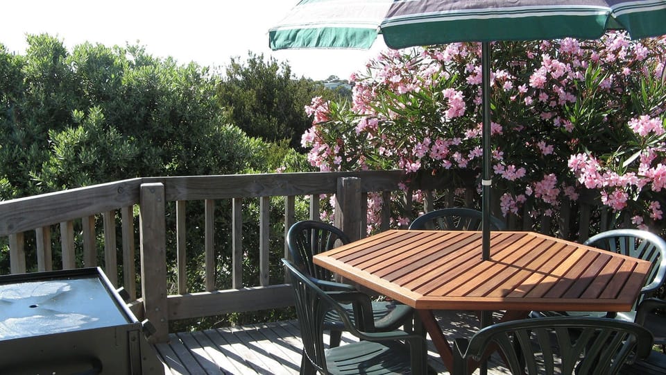 Entertainment Deck