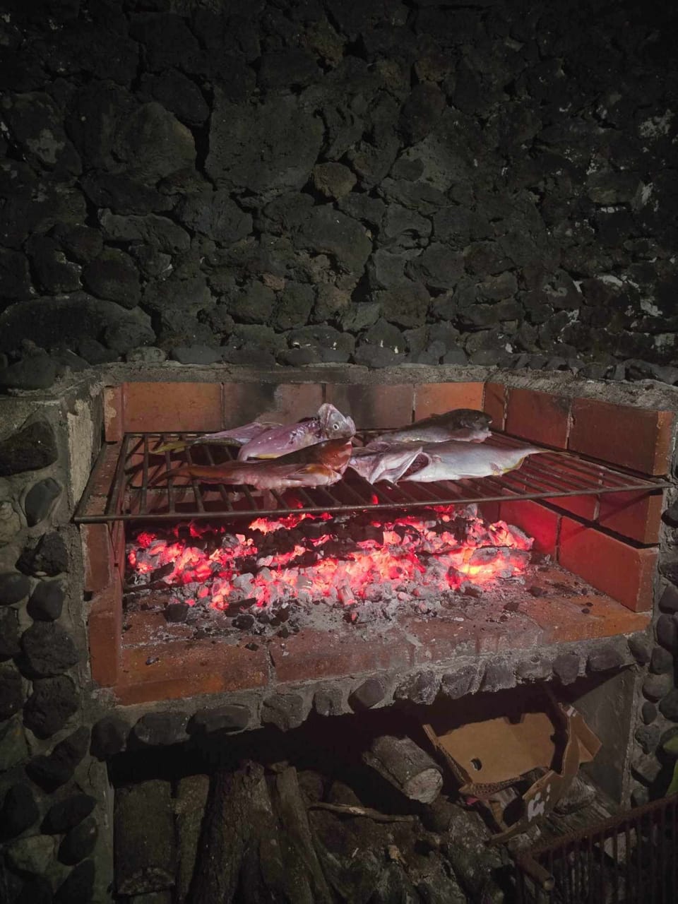 Privet barbecue outside in front of the house Vivenda A