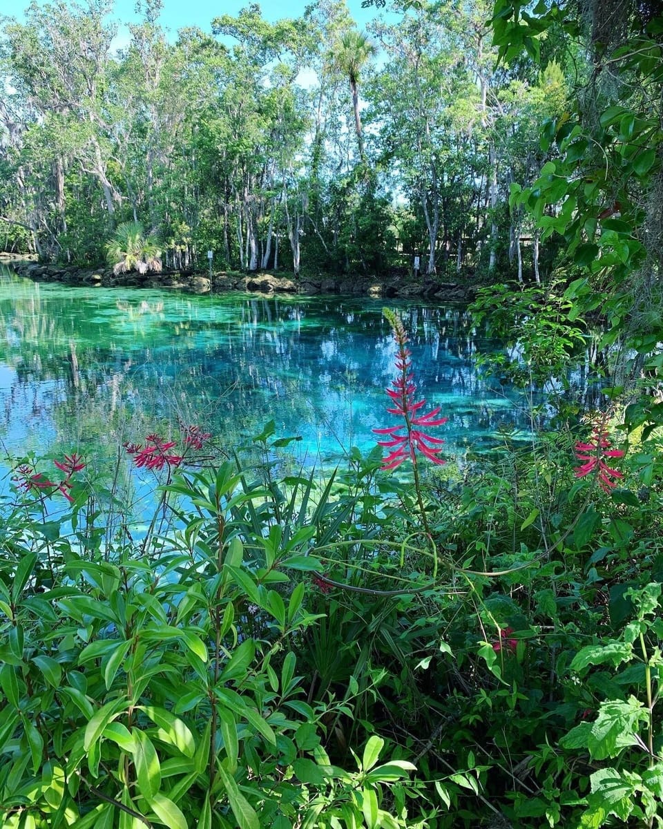 Rainbow River Near Bye
