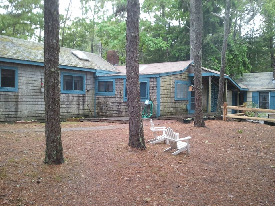 yard