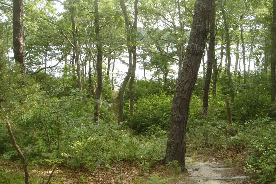 Path to pond and private beach