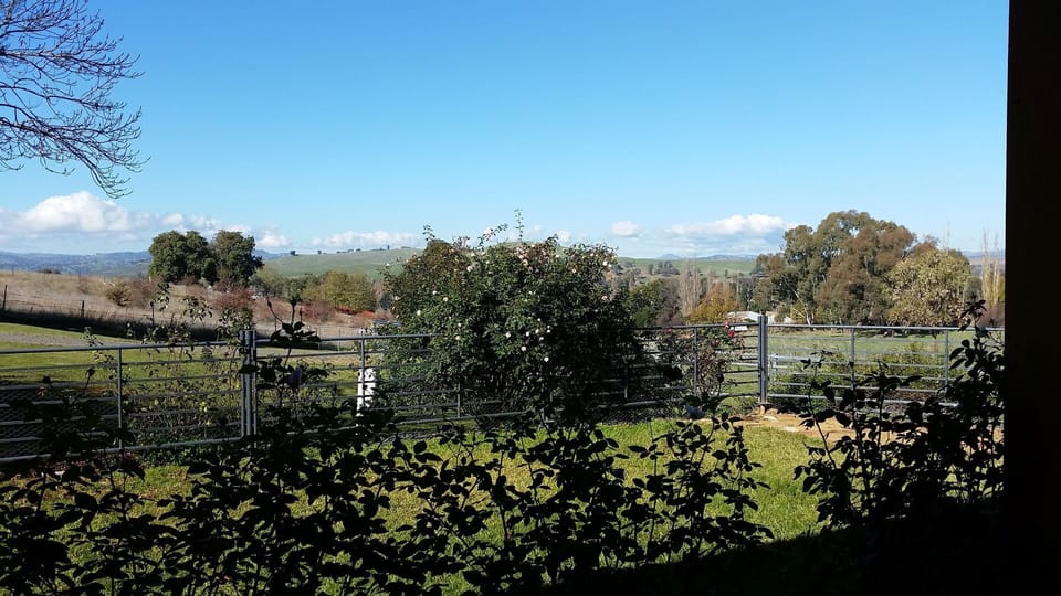 Fully Fenced Yard