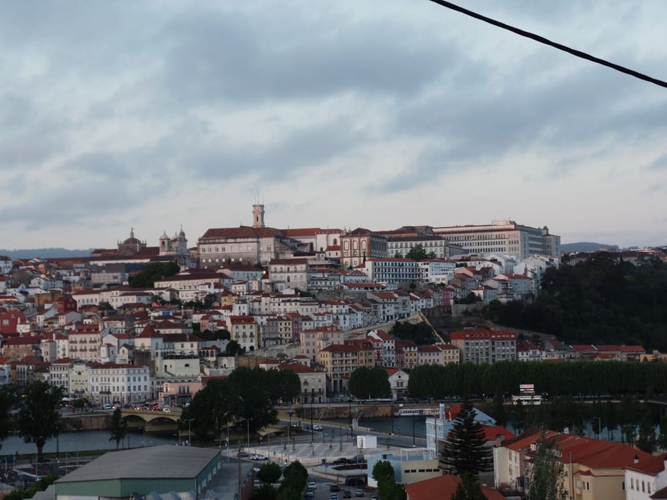 View from garden