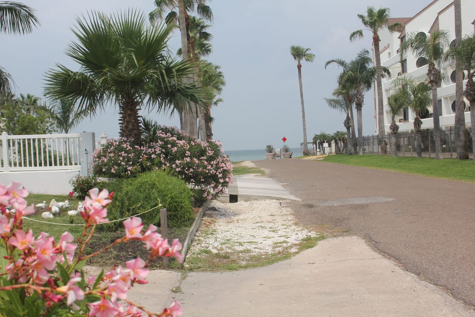 View from the driveway looking towards walking distance to the bay.