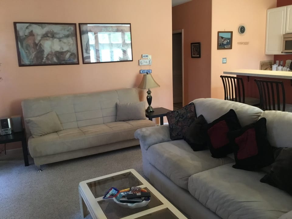 Living room with click back futon and double pull out couch.