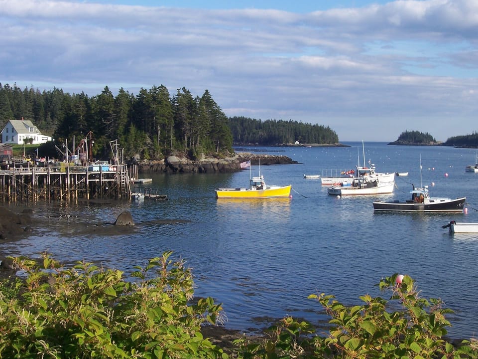 One of many Jonesport Harbors.