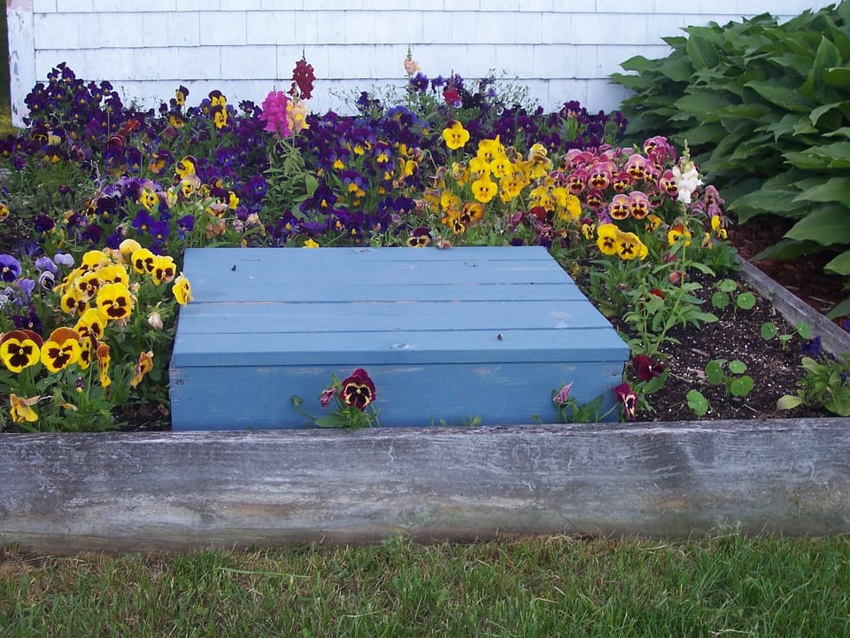 flower bed