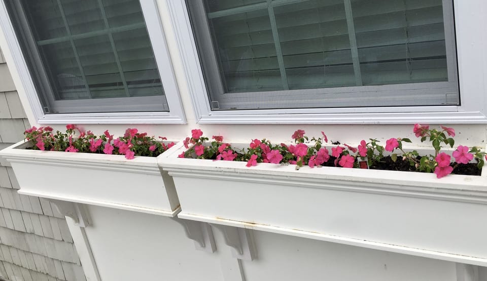 Flower boxes everywhere