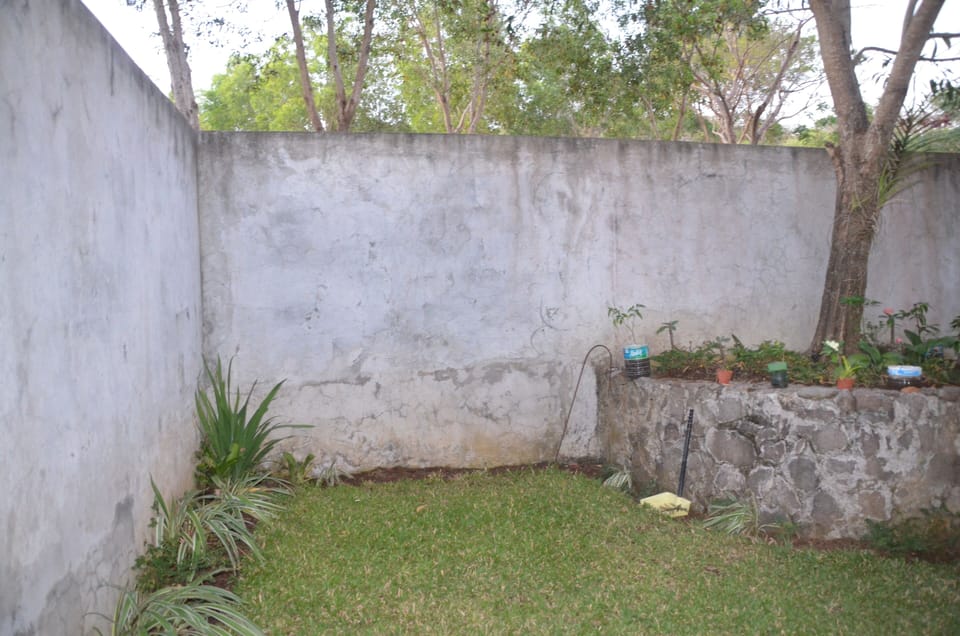 Quiet space at backyard.