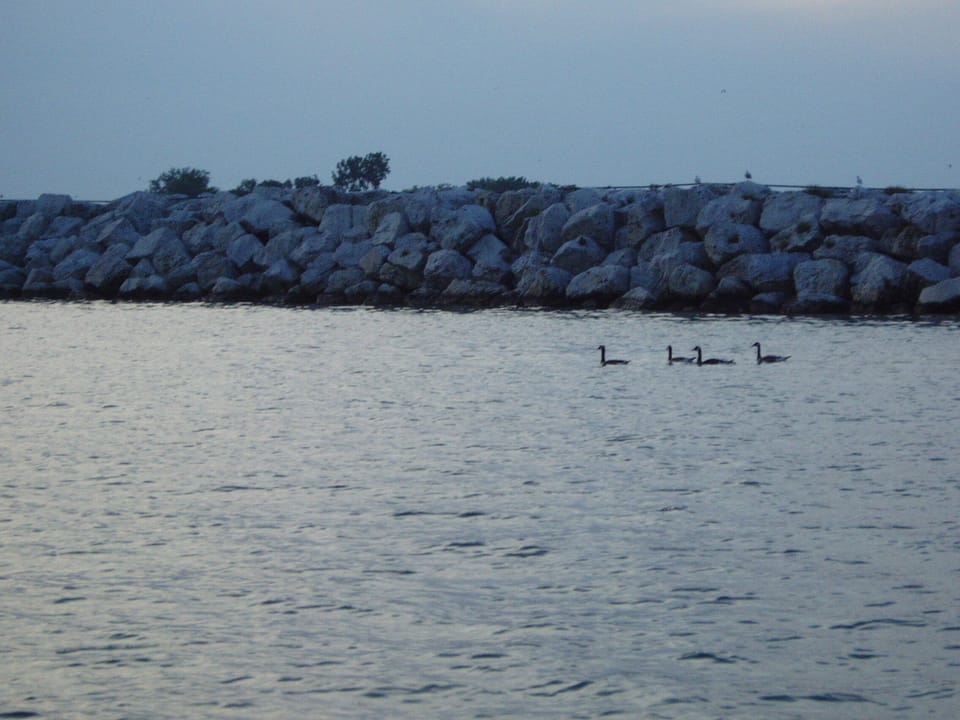 Life as it is here- join in the beauty