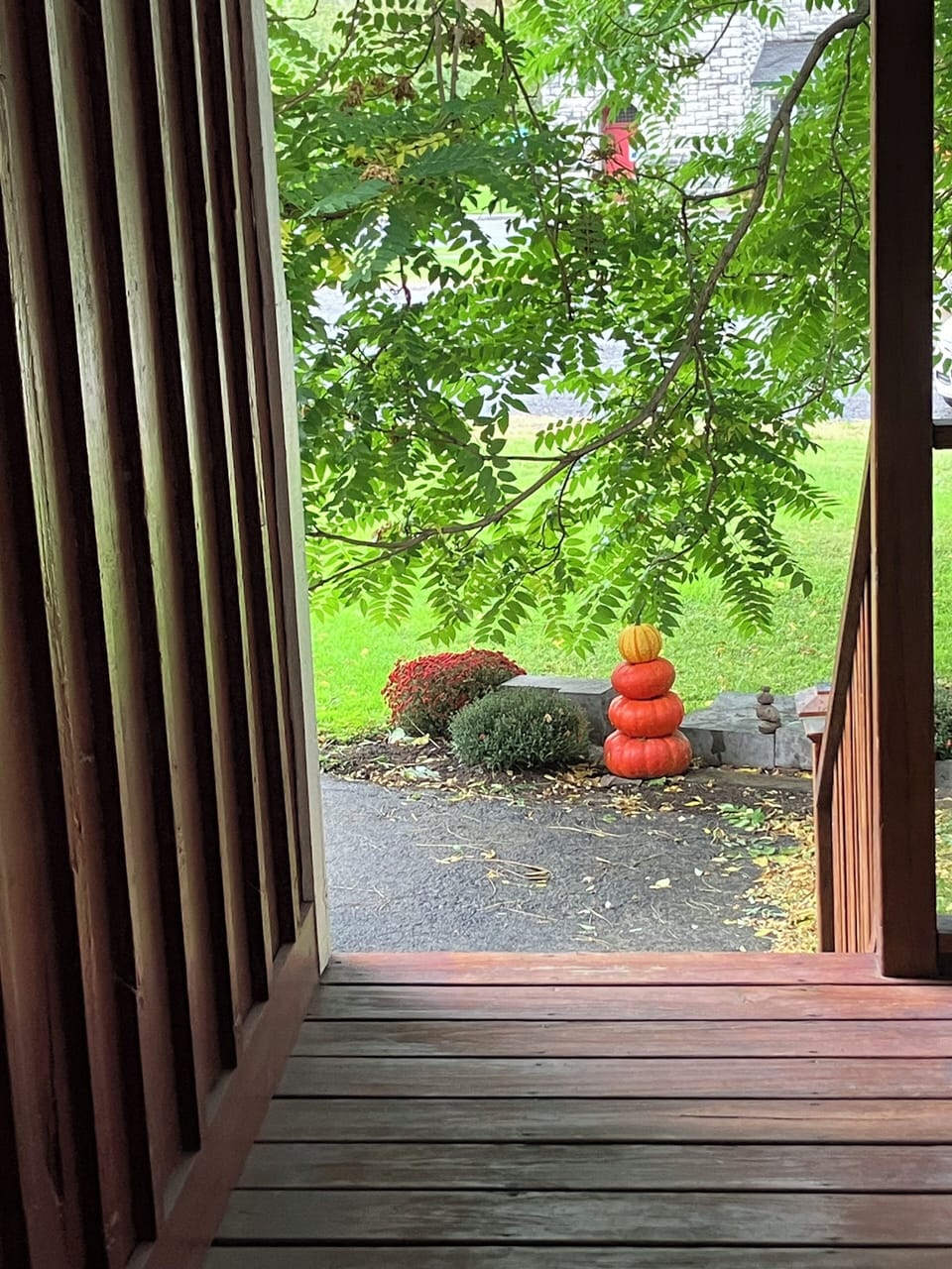View from the porch door
