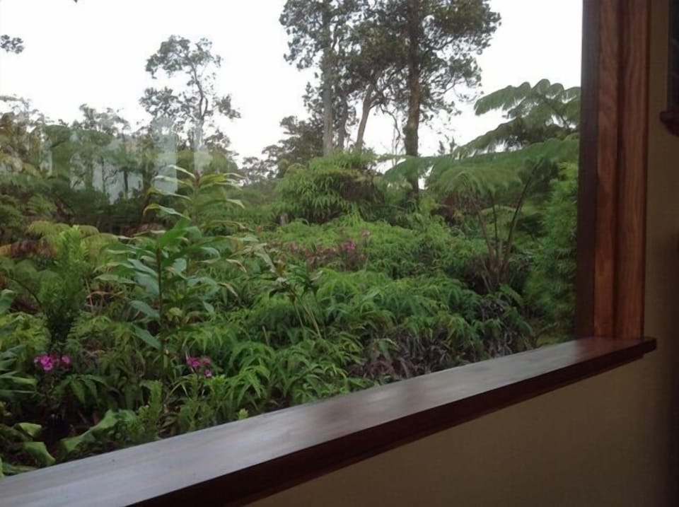 View from the living room.