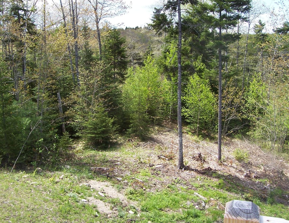 View just beyond deck