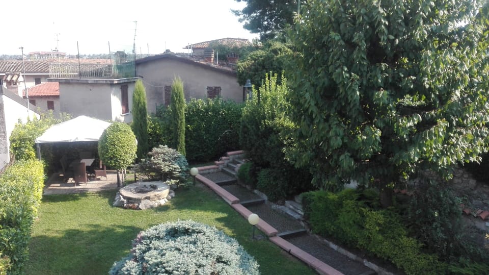 Garden view from the kitchen window