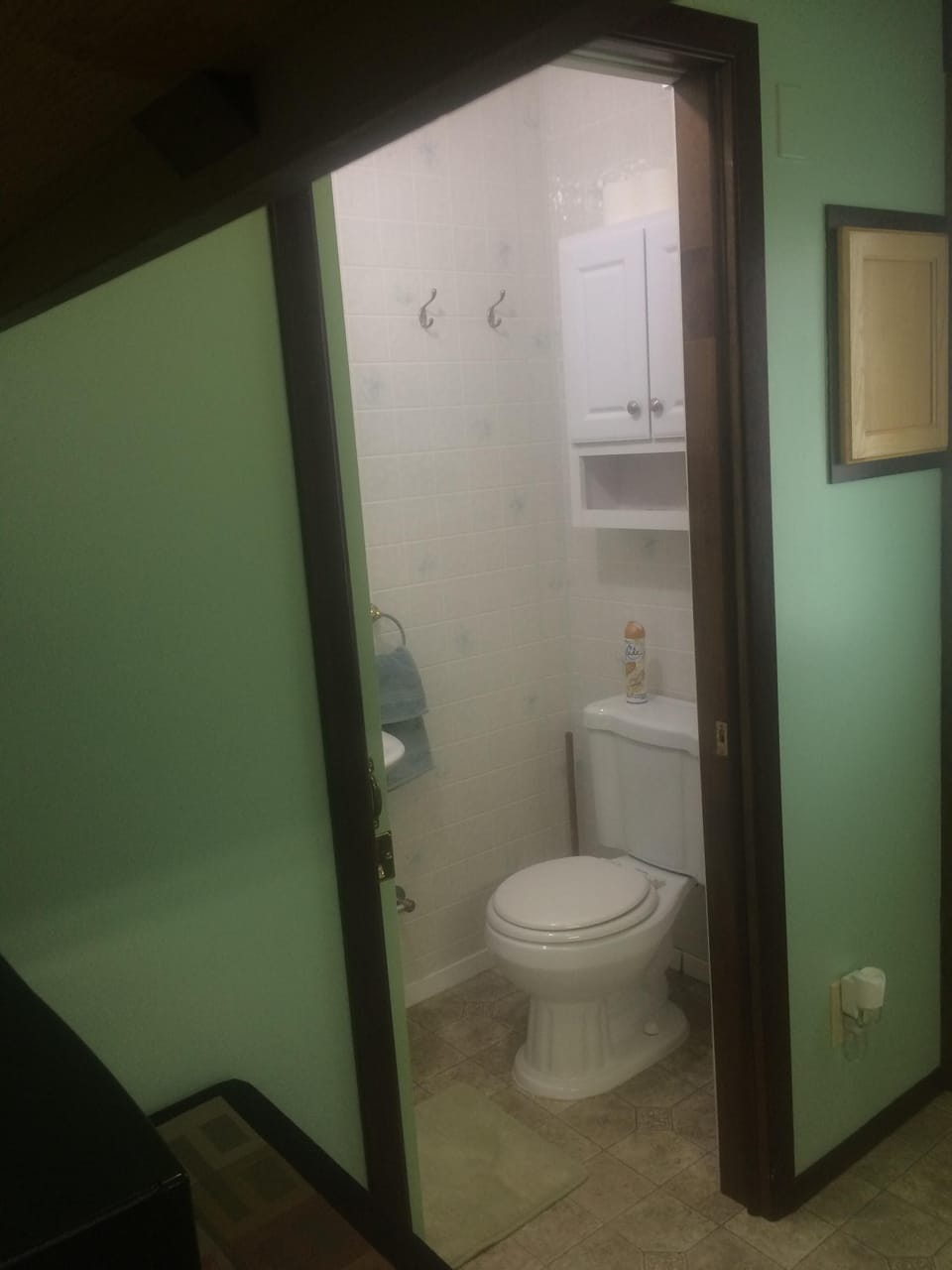 Every place needs a toilet!!