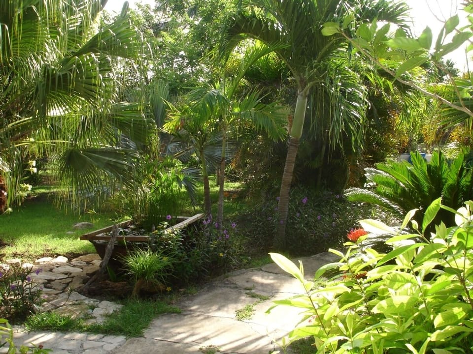 Tropical Garden