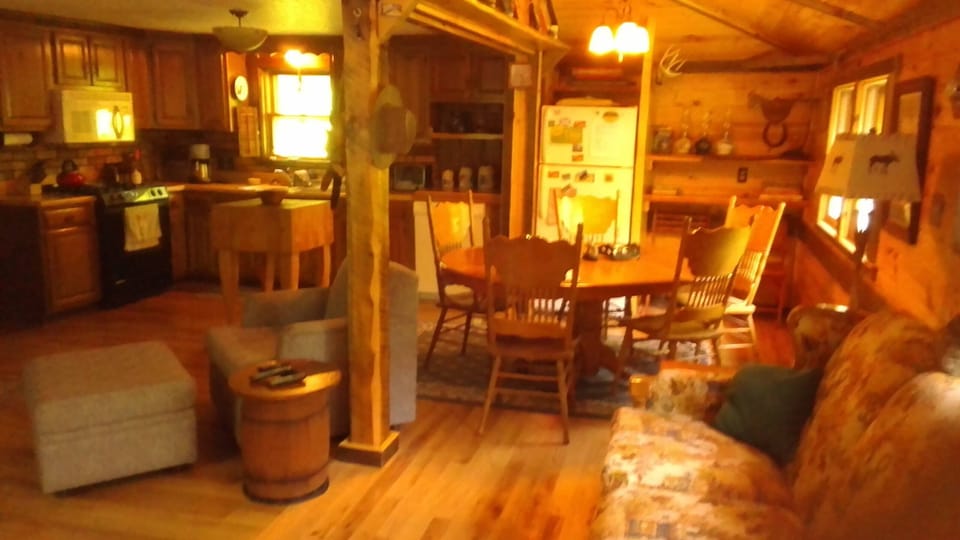 Main room view