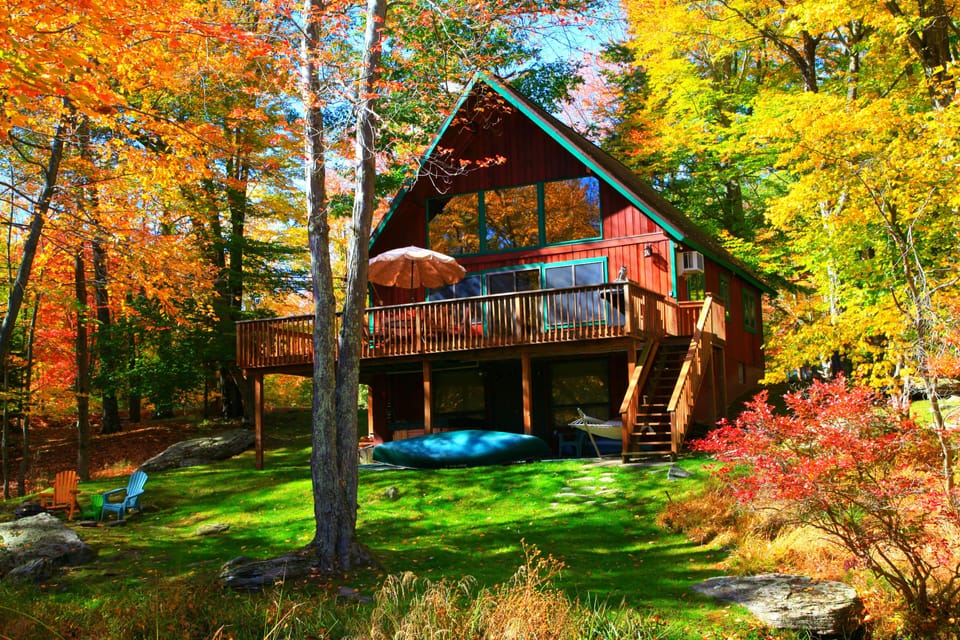 The House