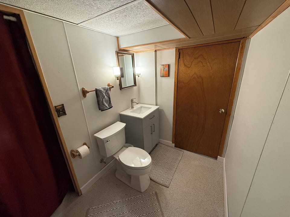 LL half-bath: New vanity and commode
