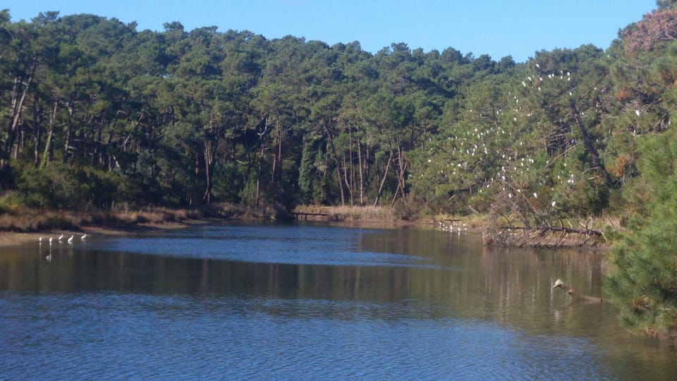 Lake