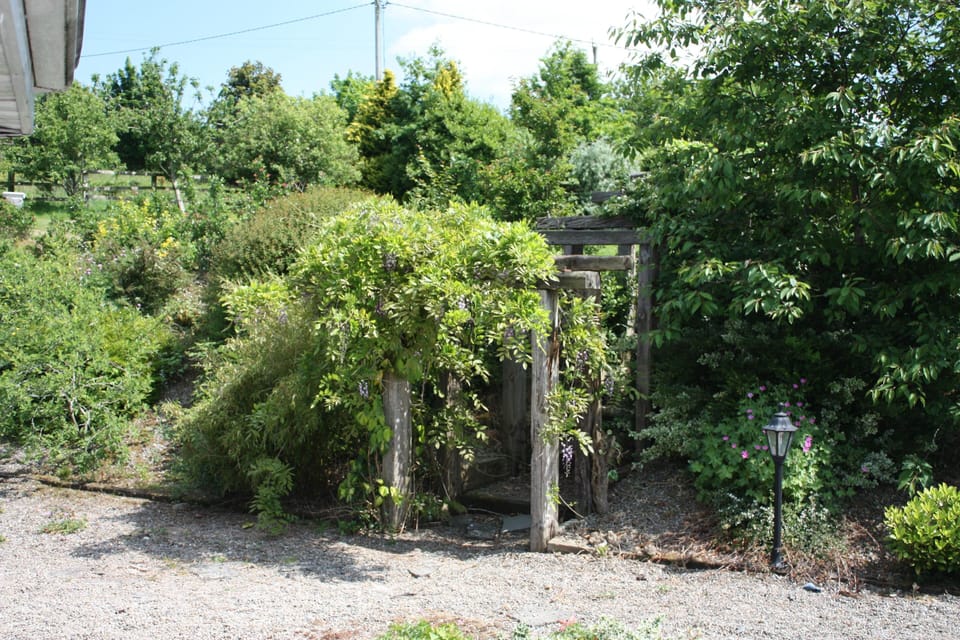 Back Garden