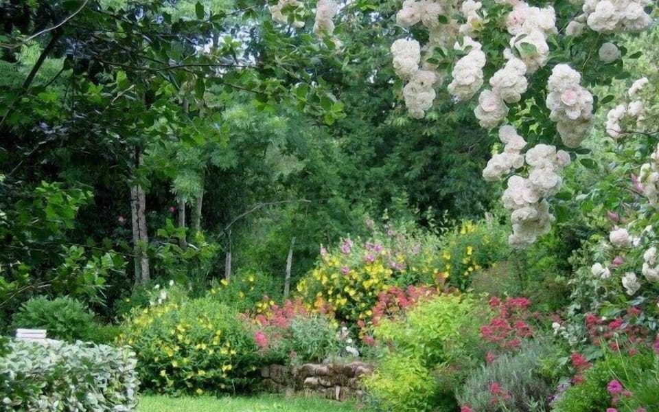 spring garden