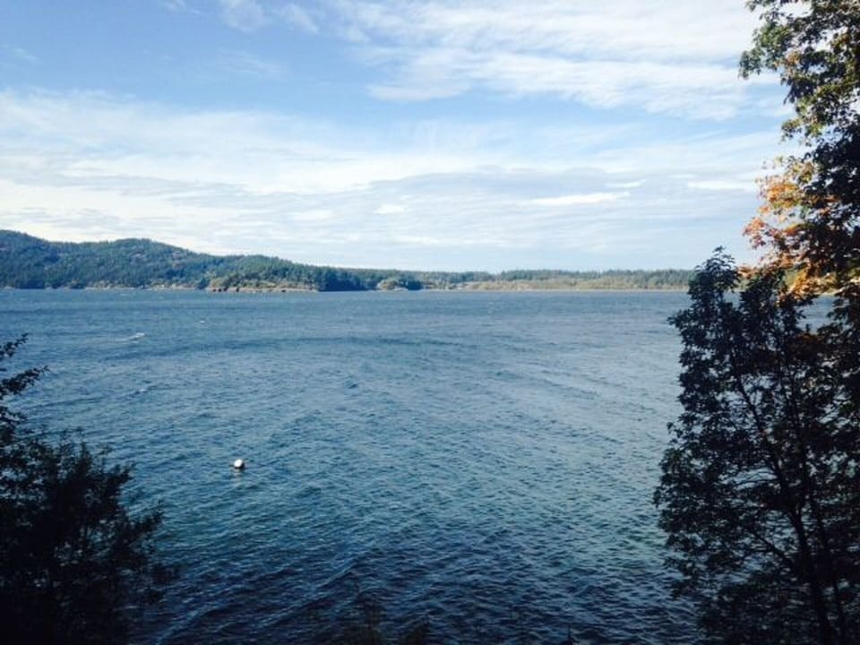 Water view and Turtleback Mountain Preserve