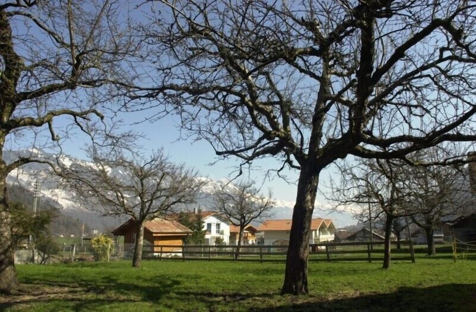 view of our large green garden