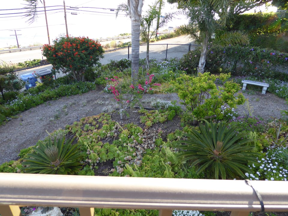 garden view from deck
