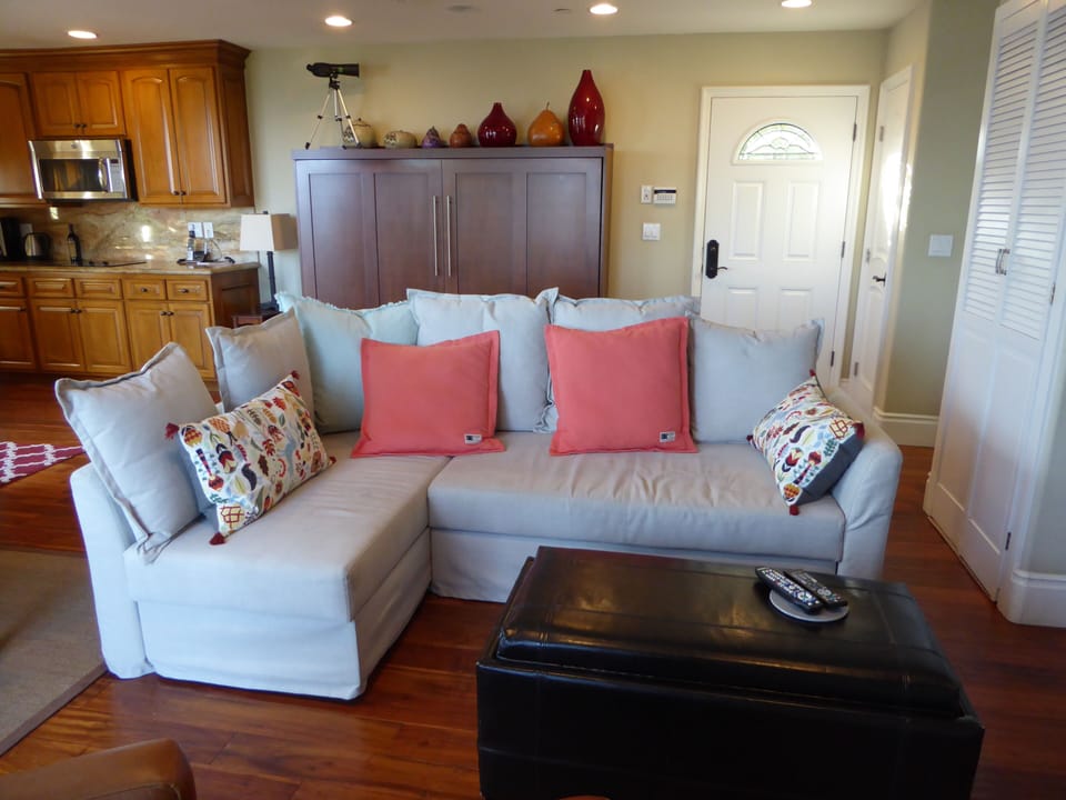 sofa, Murphy bed & entry door
